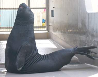 みなぞうくん みなぞうくん